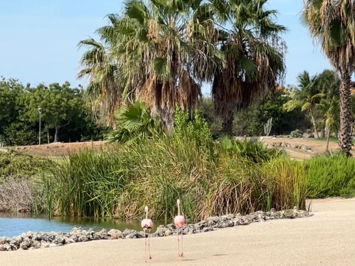Tip! Blue Bay Beachvilla 12 - Blue Bay Resort Dorp Dorp Sint Michiel 0*,  キュラソー